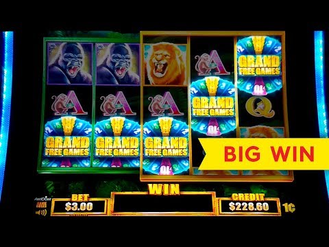 Free Bonus Slot Games