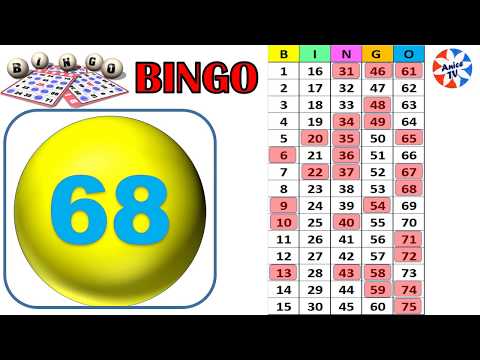 Bingo Numbers