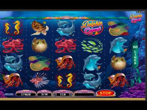 DOLPHIN QUEST SLOT