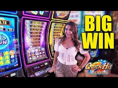 Exotic Cats - Top Slots Experts