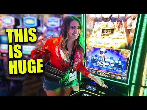 Exotic Cats - Top Slots Experts