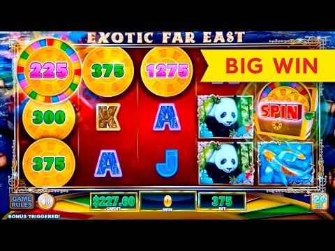 Exotic Cats - Top Slots Experts