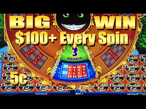 Exotic Cats - Top Slots Experts