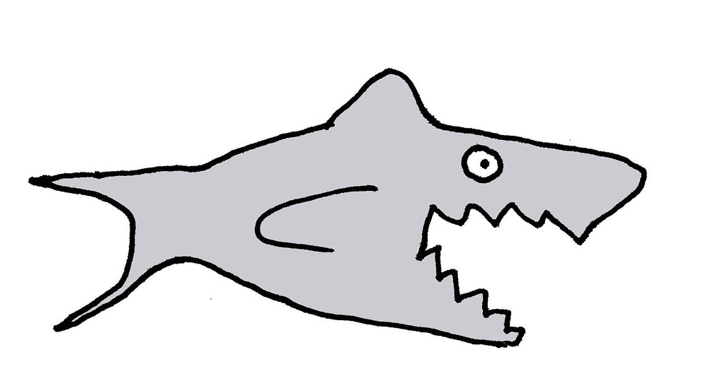 Wild Shark