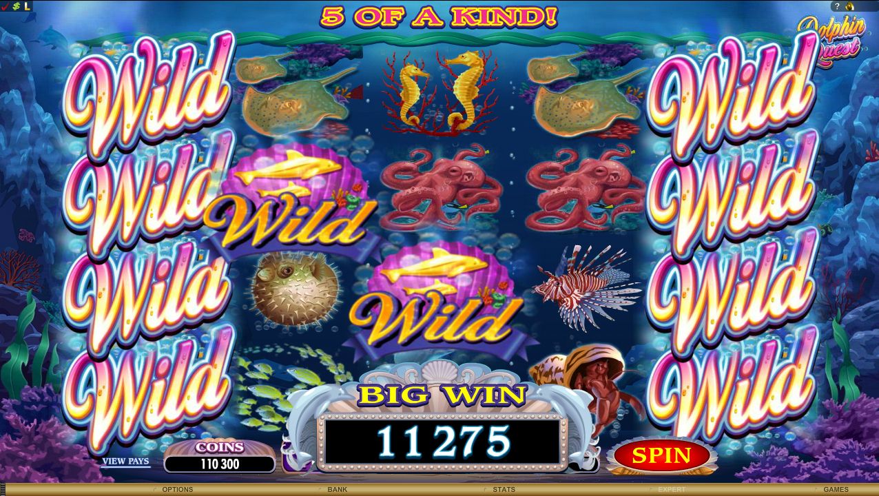 DOLPHIN QUEST SLOT