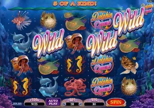 DOLPHIN QUEST SLOT