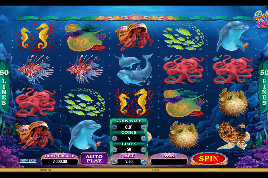DOLPHIN QUEST SLOT