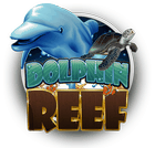 dolphin-reef_medium