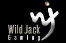 Awesome Mobile Blackjack Real Money | Wild Jack